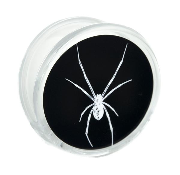 Creepy White Spider Magnet Clip Black Widow Novelty Gift Fridge Mag