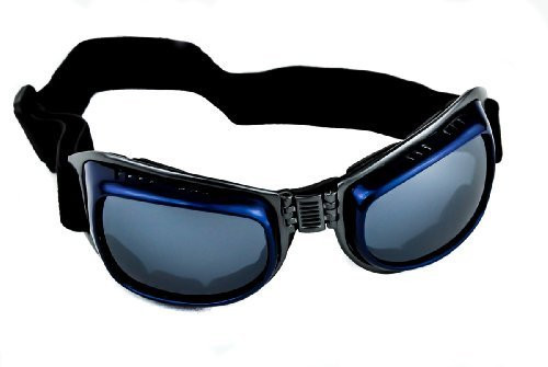 Silver and Blue Frame Motorcycle Goggles Protective Sport Sunglasses