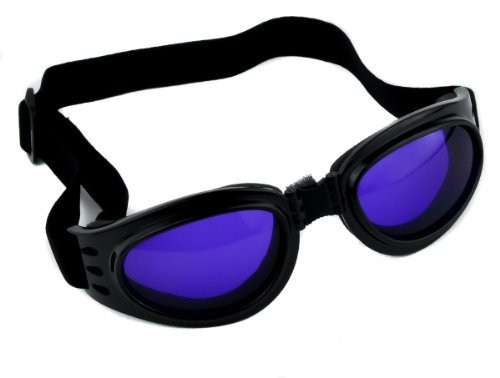 Purple Lens Goggles Black Frame Sunglasses