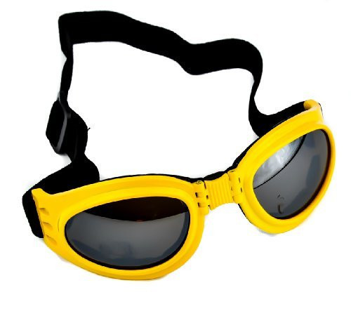 Yellow Frame Anime Goggles Vampire Sport Sunglasses