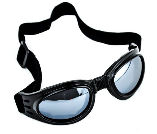 Black Lens Anime Goggles Vampire Sport Sunglasses