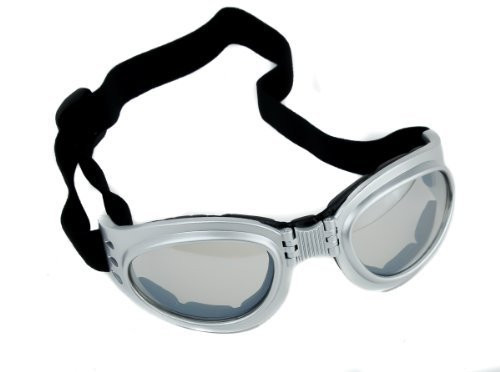 Silver Frame Anime Goggles Vampire Sport Sunglasses