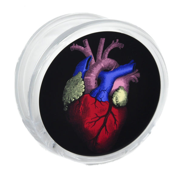 Anatomical Human Heart Magnet Clip Medical Oddities Novelty Gift Fridge Mag